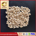 New Harvested Blanched Round Peanut Kernels